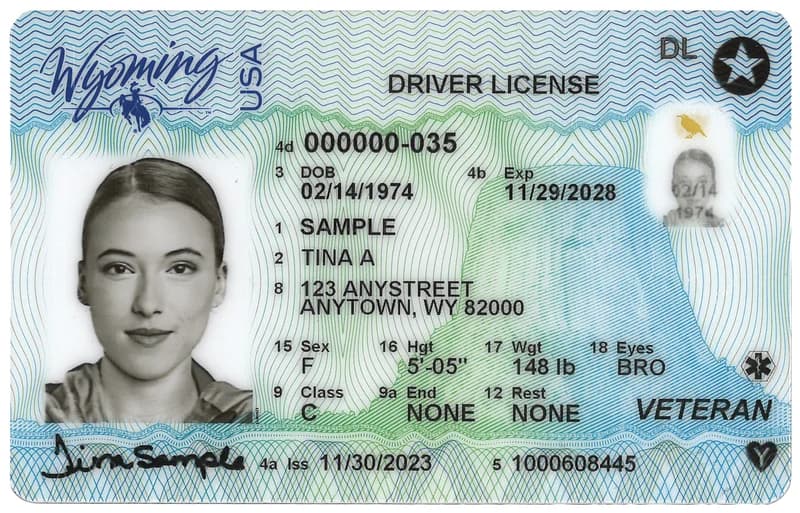 Sample Wyoming horizontal driver license with security features